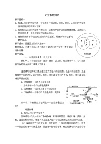 数学第十八章 平行四边形18.2 特殊的平行四边形18.2.3 正方形教案设计