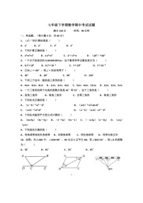 2022年济南天桥区第五十六中学七年级下学期数学期中考试试题（无答案）