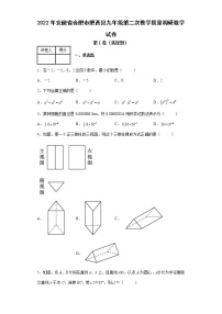 2022年安徽省合肥市肥西县九年级第二次教学质量调研数学试卷