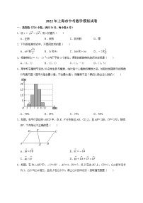 2022年上海市中考数学模拟试卷(word版含答案)