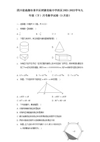 四川省成都市青羊区树德实验中学西区2021-2022学年九年级（下）月考数学试卷（3月份）（含解析）