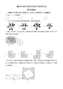 2022年江西省赣州市九年级学业水平适应性考试数学试题(word版含答案)