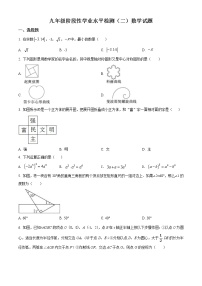 2022年山东省菏泽市牡丹区中考二模数学试题(word版含答案)