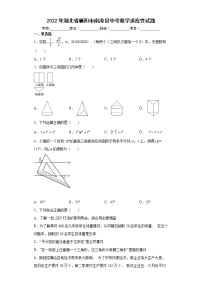 2022年湖北省襄阳市南漳县中考数学适应性试题(word版含答案)