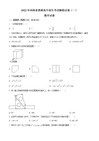 2022年河南省郑州外国语中学九年级一模数学卷及答案（文字版）