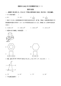 2022年河南省洛阳市九年级一模数学卷及答案（文字版）