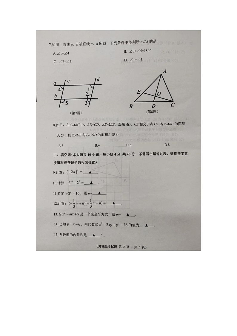 江苏省邳州市2021-2022学年七年级下学期数学期中检测试卷（含答案）02