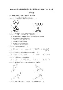 2019-2020学年湖南师大附中博才实验中学七年级（下）期末数学试卷