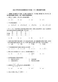 【解析版】2022年河北省廊坊市八年级下期末数学试卷