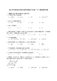 【解析版】2022年哈尔滨市双城区八年级下期末数学试卷