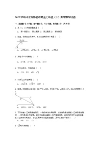 【解析版】2022年邯郸市魏县七年级下期中数学试卷