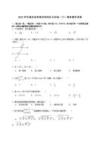 【解析版】2022学年孝感市孝南区七年级下期末数学试卷