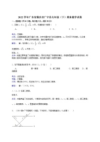 【解析版】肇庆市广宁县2022年七年级下期末数学试卷