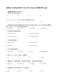 【解析版】寿县菱角中学2022年七年级上期中数学试卷