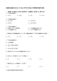 【解析版】巢湖市无为三中2022年七年级上期中数学试卷