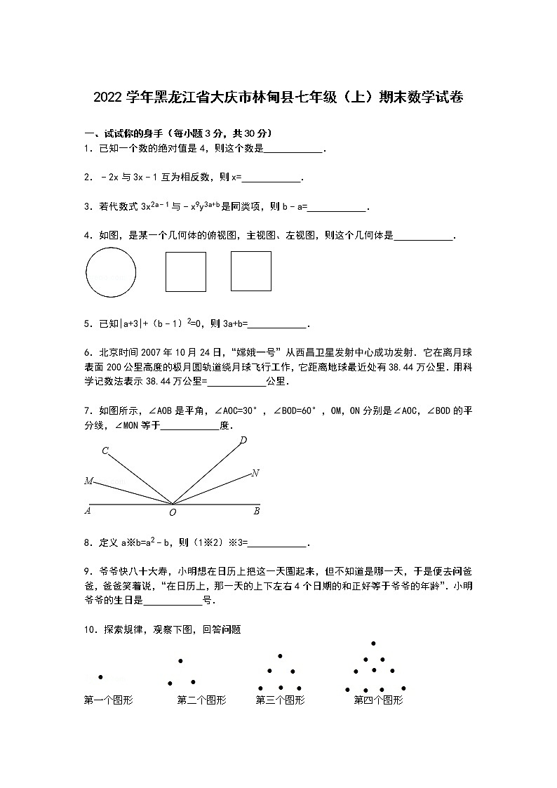 【解析版】大庆市林甸县2022学年七年级上期末数学试卷01