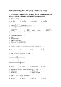 【解析版】安阳市滑县2022学年七年级下期末数学试卷