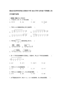 【解析版】铁力市朗乡中学2022年七年级下第三次月考试卷