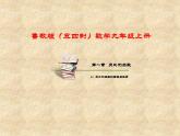 鲁教版（五四制）数学九年级上册 第一章 1.2 反比例函数的图像与性质 课件