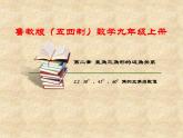 魯教版（五四制）數(shù)學(xué)九年級(jí)上冊(cè) 第二章 2.2 30°，45°，60°的三角函數(shù)值 課件