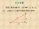 鲁教版（五四制）数学九年级上册 第二章 2.4 解直角三角形 课件