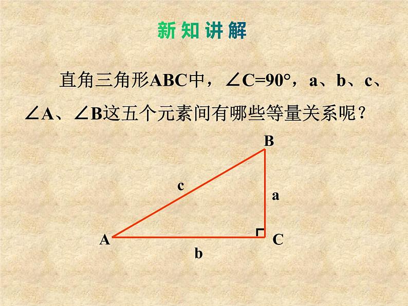 鲁教版（五四制）数学九年级上册 第二章 2.4 解直角三角形 课件03