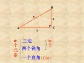 鲁教版（五四制）数学九年级上册 第二章 2.4 解直角三角形 课件