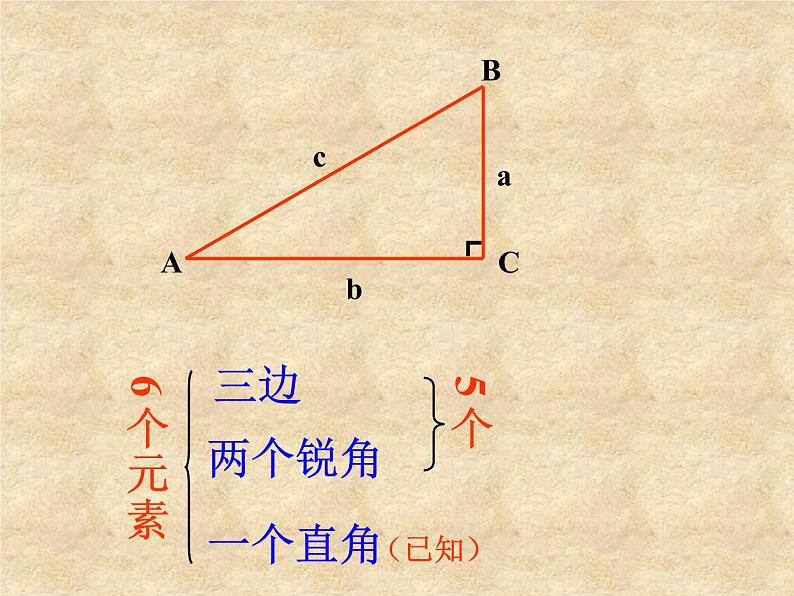 鲁教版（五四制）数学九年级上册 第二章 2.4 解直角三角形 课件04