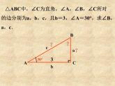 鲁教版（五四制）数学九年级上册 第二章 2.4 解直角三角形 课件