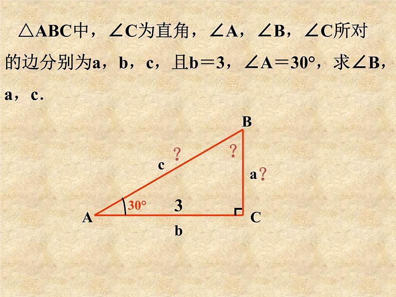 鲁教版（五四制）数学九年级上册 第二章 2.4 解直角三角形 课件05