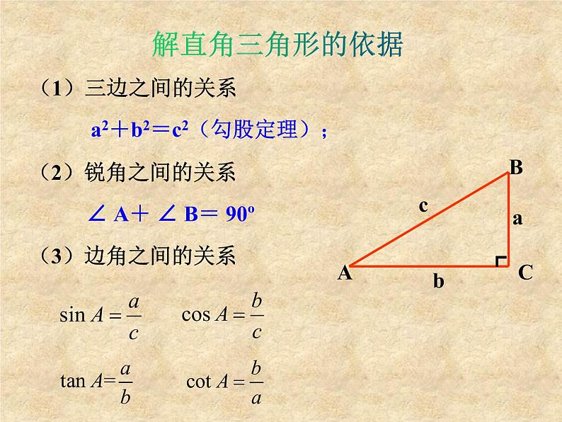 鲁教版（五四制）数学九年级上册 第二章 2.4 解直角三角形 课件06