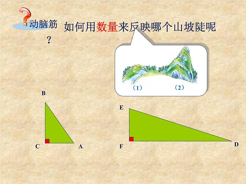 鲁教版（五四制）数学九年级上册 第二章 2.5 三角函数的应用 课件04