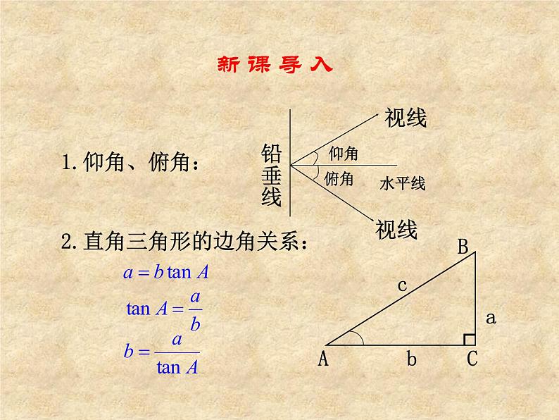 鲁教版（五四制）数学九年级上册 第二章 2.6 利用三角函数测高 课件03