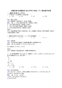 【解析版】淮北市濉溪县2022年八年级下期末数学试卷