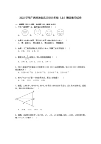 【解析版】河池市东兰县2022学年八年级上期末数学试卷