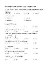 【解析版】淮北市濉溪县2022学年七年级下期末数学试卷