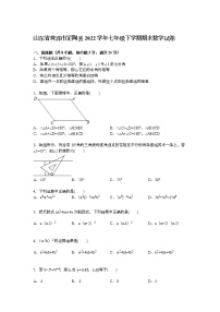 【解析版】菏泽市定陶县2022学年七年级下期末数学试卷