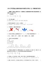 【解析版】哈尔滨市平房区2022年九年级上期末数学试卷