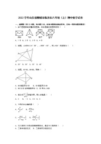 【解析版】聊城市临清市2022学年八年级上期中数学试卷