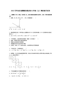 【解析版】聊城市临清市2022年七年级上期末数学试卷