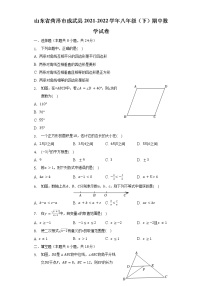 山东省菏泽市成武县2021-2022学年八年级（下）期中数学试卷（含解析）