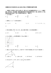 【解析版】安徽省安庆市宿松县2022届九年级上期末数学试卷