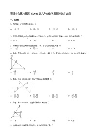 【解析版】安徽省合肥市肥西县2022届九年级上期末数学试卷