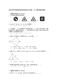 【解析版】松原市扶余县2022学年八年级上期中数学试卷