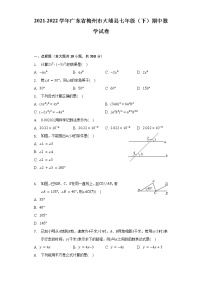 2021-2022学年广东省梅州市大埔县七年级（下）期中数学试卷（含解析）