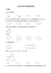 2022年河南省平顶山市九年级下学期一模考试数学试卷（附答案）