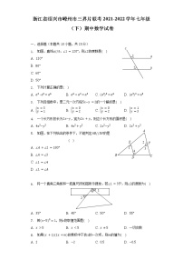 浙江省绍兴市嵊州市三界片联考2021-2022学年七年级（下）期中数学试卷（含解析）