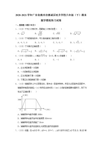 2020-2021学年广东省惠州市惠城区旺升学校八年级（下）期末数学模拟练习试卷