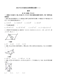 2022年山东省临沂市平邑县中考二模数学试题(word版含答案)