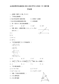 山东省菏泽市成武县2021-2022学年七年级（下）期中数学试卷（含解析）